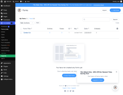 Page screenshot: Formidable  &rarr; Forms (Lite)