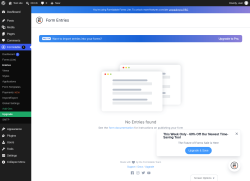 Page screenshot: Formidable  &rarr; Entries
