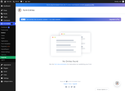 Page screenshot: Formidable  &rarr; Entries