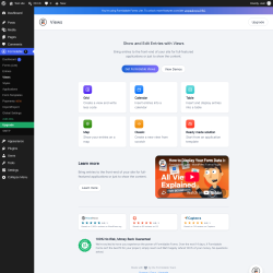 Page screenshot: Formidable  &rarr; Views