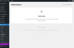 Page screenshot: Forminator → Submissions
