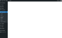 Page screenshot: Widgets ‹ Test site — WordPress