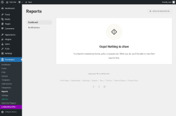 Page screenshot: Forminator → Reports
