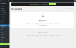 Page screenshot: Forminator → Submissions