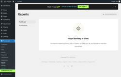 Page screenshot: Forminator → Reports