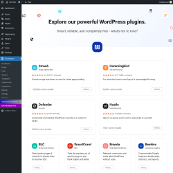 Page screenshot: Forminator &rarr; Get More Free Plugins