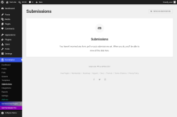 Page screenshot: Forminator &rarr; Submissions