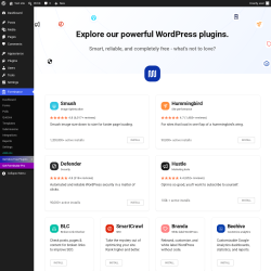 Page screenshot: Forminator &rarr; Get More Free Plugins