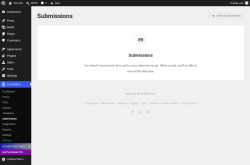 Page screenshot: Forminator &rarr; Submissions