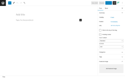 Page screenshot: Add New Post &lsaquo; Test site &mdash; WordPress