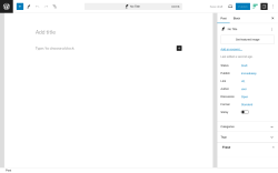 Page screenshot: Add New Post &lsaquo; Test site &mdash; WordPress