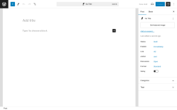 Page screenshot: Add New Post ‹ Test site — WordPress
