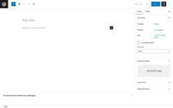 Page screenshot: Add New Page ‹ Test site — WordPress