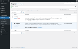 Page screenshot: Plugins ‹ Test site — WordPress