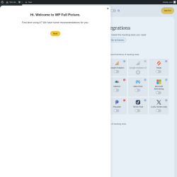 Page screenshot: WP Full Picture