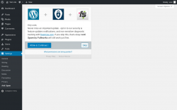 Page screenshot: Anti Spam &lsaquo; Test site &mdash; WordPress