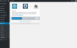 Page screenshot: Anti Spam &lsaquo; Test site &mdash; WordPress