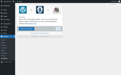 Page screenshot: Anti Spam &lsaquo; Test site &mdash; WordPress