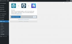 Page screenshot: Anti Spam &lsaquo; Test site &mdash; WordPress
