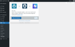 Page screenshot: Anti Spam &lsaquo; Test site &mdash; WordPress