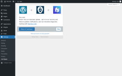 Page screenshot: Anti Spam &lsaquo; Test site &mdash; WordPress