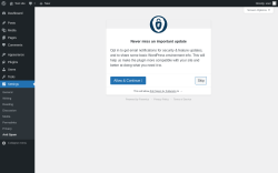Page screenshot: Anti Spam &lsaquo; Test site &mdash; WordPress