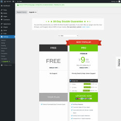 Page screenshot: Settings &rarr; Anti Spam &rarr; Upgrade&nbsp;&nbsp;➤
