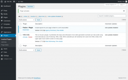 Page screenshot: Plugins &lsaquo; Test site &mdash; WordPress