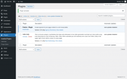 Page screenshot: Plugins &lsaquo; Test site &mdash; WordPress