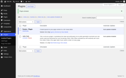 Page screenshot: Plugins &lsaquo; Test site &mdash; WordPress
