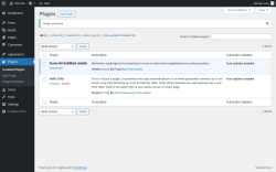 Page screenshot: Plugins ‹ Test site — WordPress