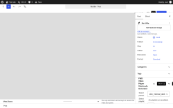 Page screenshot: Add Post &lsaquo; Test site &mdash; WordPress