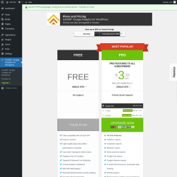 Page screenshot: GA4WP: Google Analytics for Wordpress → Upgrade  ➤