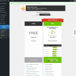 Page screenshot: GA4WP: Google Analytics for Wordpress → Upgrade  ➤
