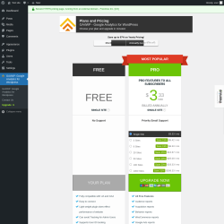 Page screenshot: GA4WP: Google Analytics for Wordpress → Upgrade  ➤