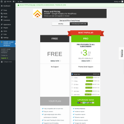 Page screenshot: GA4WP: Google Analytics for Wordpress → Upgrade  ➤
