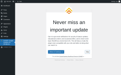 Page screenshot: GA4WP: Google Analytics for Wordpress ‹ Test site — WordPress
