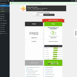Page screenshot: GA4WP → Upgrade  ➤