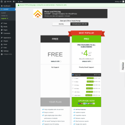 Page screenshot: GA4WP → Upgrade  ➤