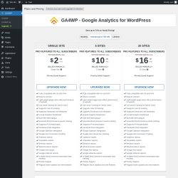 Page screenshot: GA4WP → Upgrade  ➤