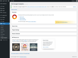 Page screenshot: Settings &rarr; Google Analytics
