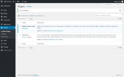 Page screenshot: Plugins &lsaquo; Test site &mdash; WordPress