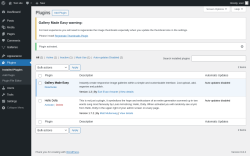 Page screenshot: Plugins ‹ Test site — WordPress