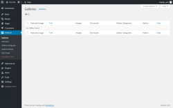 Page screenshot: Galleries