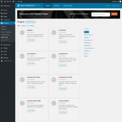 Page screenshot: Galleries → BWS Panel
