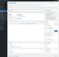 Page screenshot: Galleries → Add New