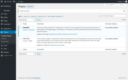 Page screenshot: Plugins &lsaquo; Test site &mdash; WordPress