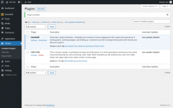 Page screenshot: Plugins &lsaquo; Test site &mdash; WordPress
