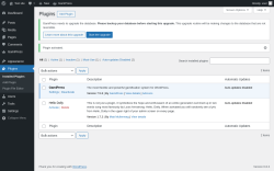 Page screenshot: Plugins ‹ Test site — WordPress
