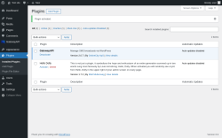 Page screenshot: Plugins &lsaquo; Test site &mdash; WordPress